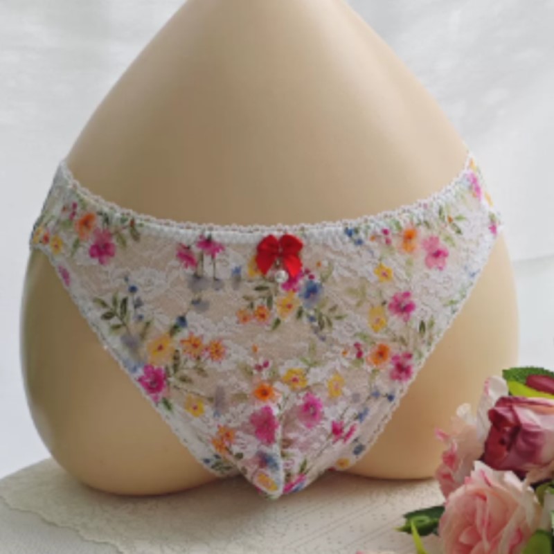 Embroidery Embellishments - Cuecas de Renda Transparentes e Sexy