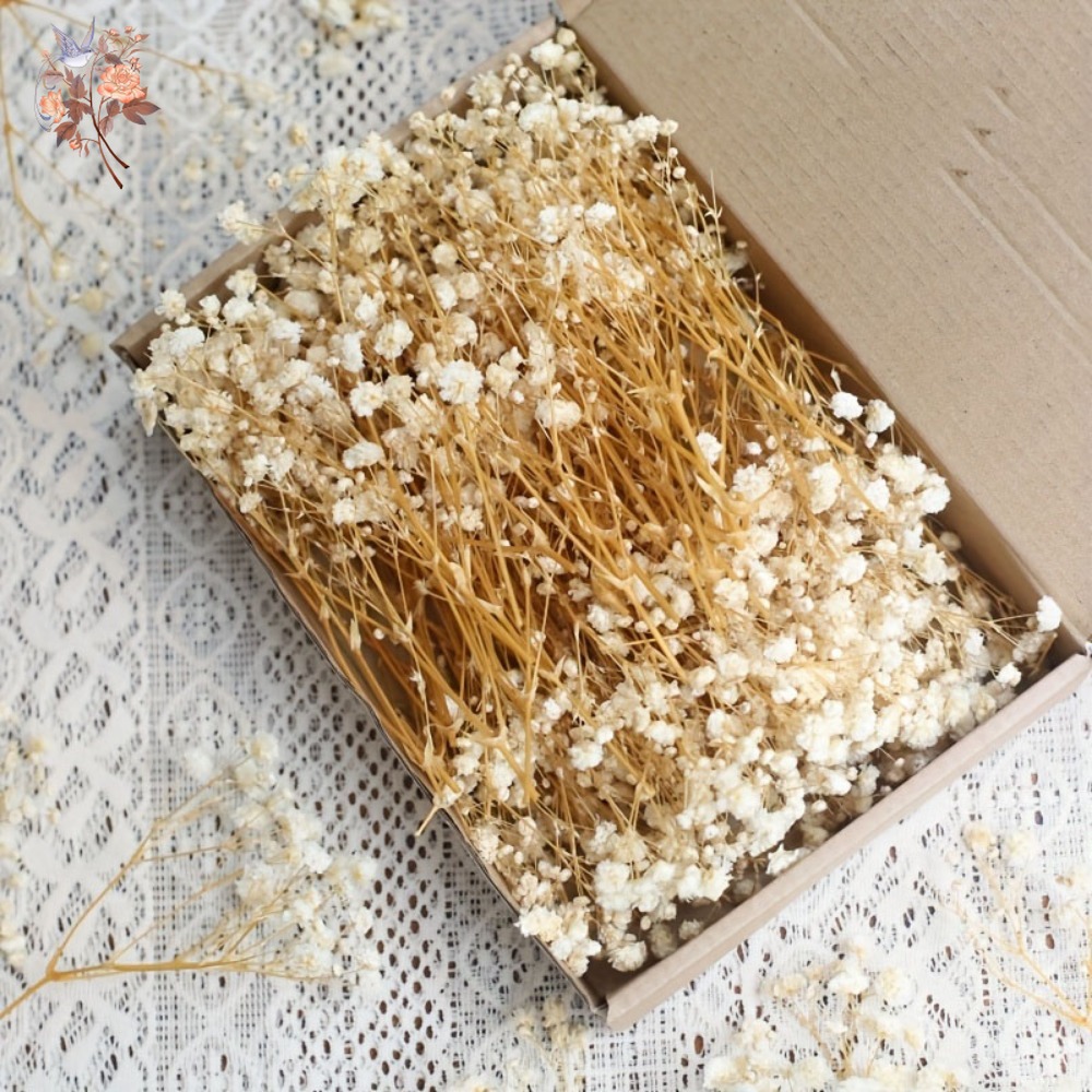 Craft Embellishments - 100 Peças de Flores Secas Mini