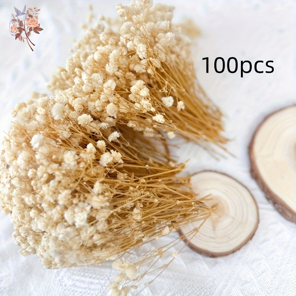 100 Peças de Flores Secas Mini - Craft Embellishments avaliação e preço