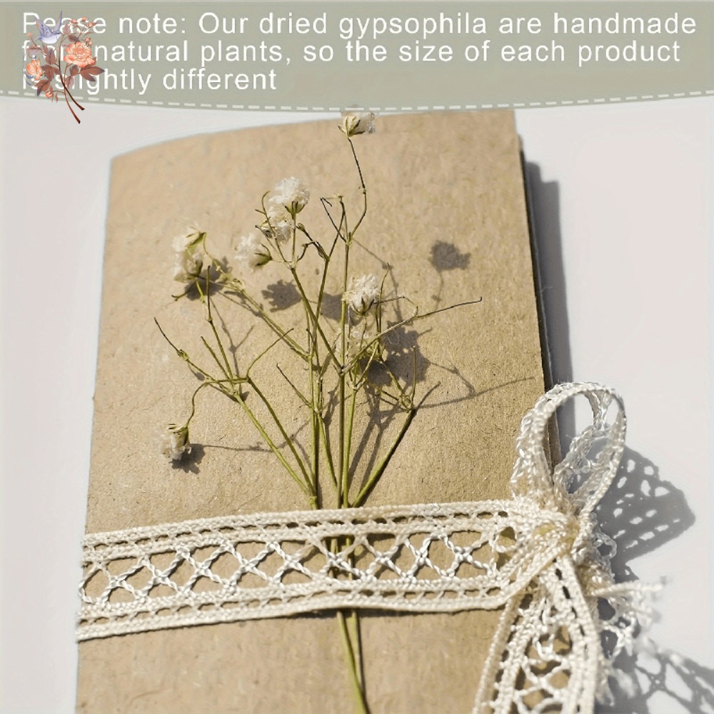 100 Peças de Flores Secas Mini - Craft Embellishments avaliação e preço